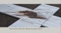 3d-ameise-falsch